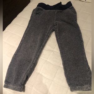 Gymboree boys knit pants